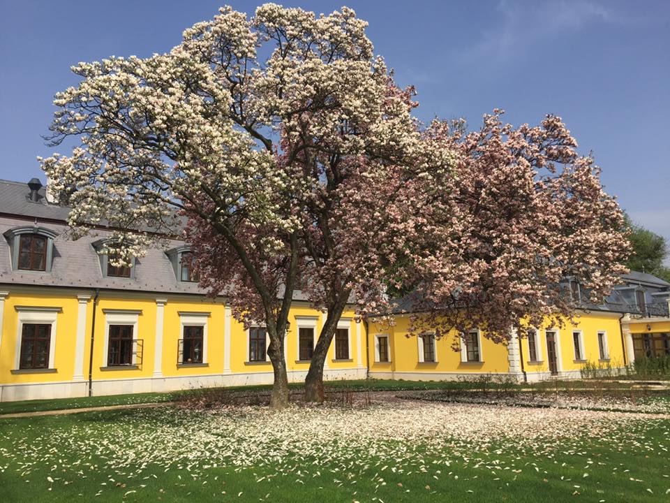 Tavaszi pihenés a Forgách kastélyban Hotel